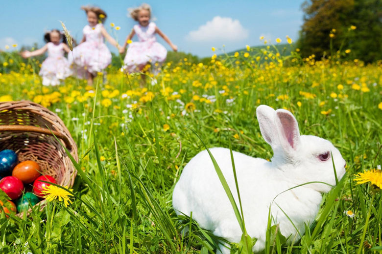 Buona Pasqua 2016 Sorpresa Regalo
