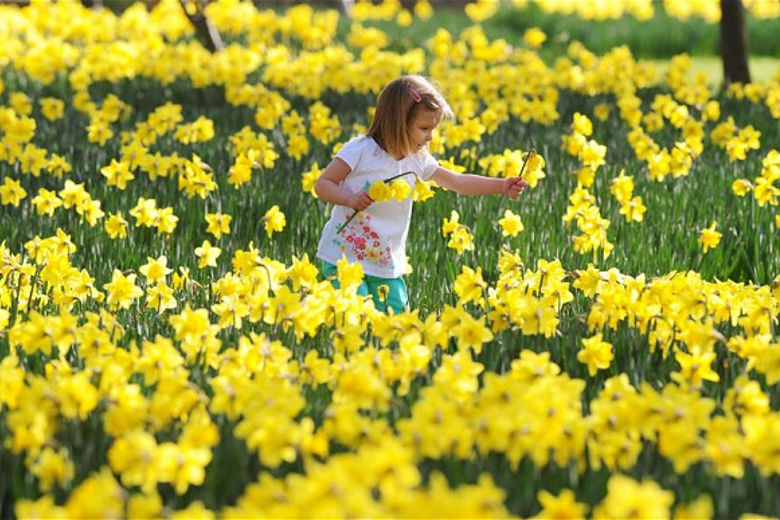 Coupon Sconto Primavera 2016